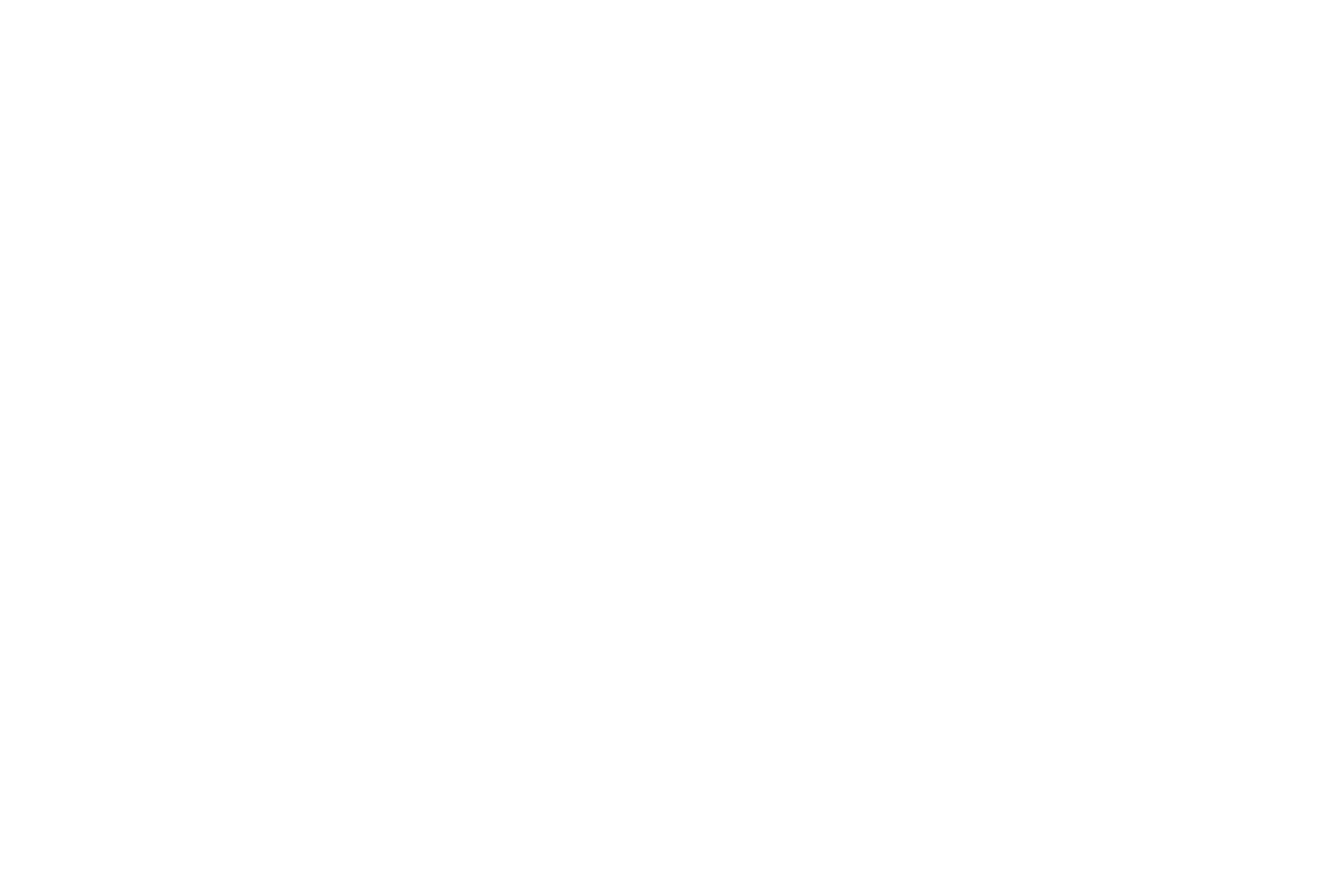 Fox Web Services | Expert Web Design & Development Solutions